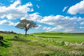 natura